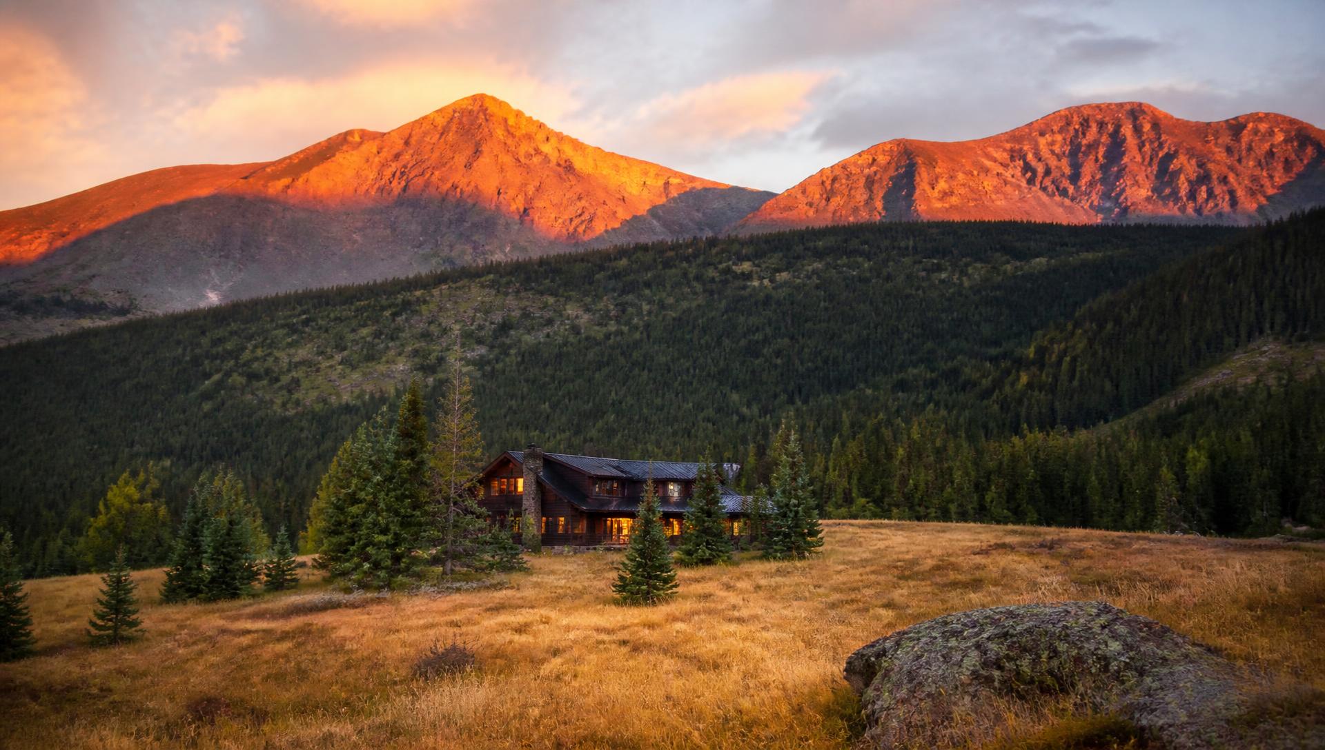 Pine ridgeline and high mountain meadow in warm evening light